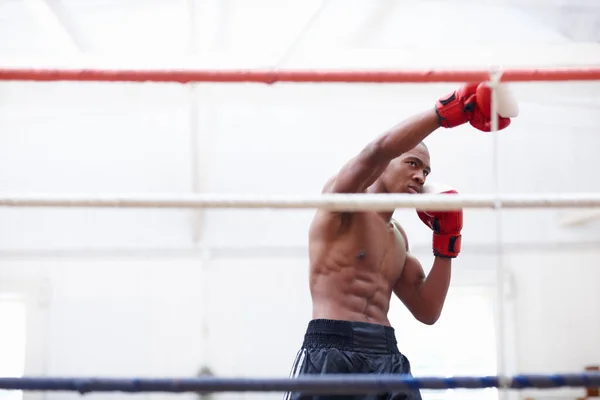 African American Athletic Man Practicing Boxing Gloves Ring — Stock Photo, Image