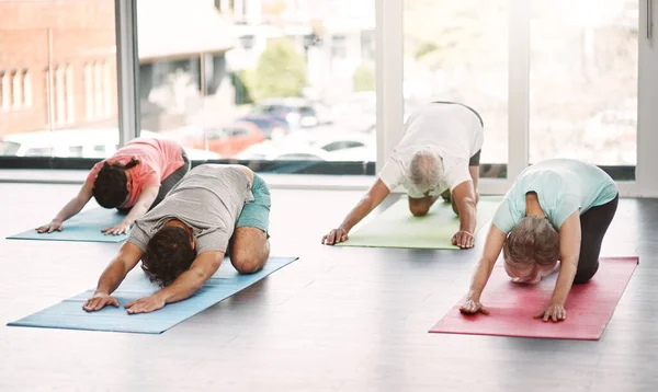 Full Length Shot Group People Practicing Yoga — Stockfoto