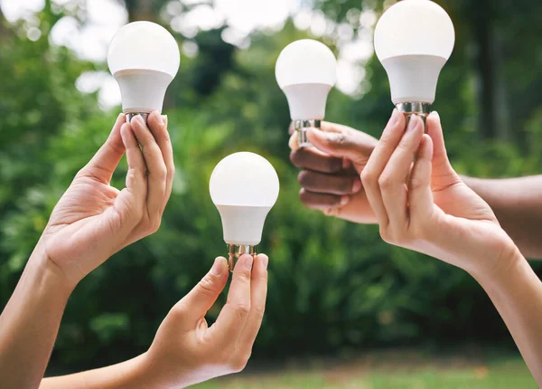 Multiple hands holding lightbulbs outside in nature. Closeup of multiethnic people holding bulbs as a concept of sustainable electricity. Multiracial people holding lightbulbs.