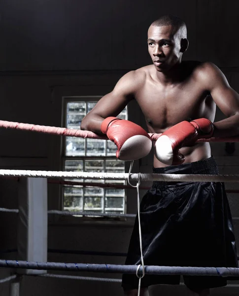 Strong Well Built Boxer Poses Gloves Looking Away — Stock Photo, Image