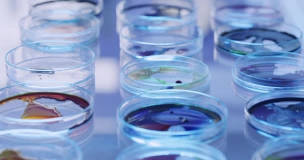 Closeup Syringe Glass Plate Petri Dishes Colorful Samples Table Research — 图库视频影像