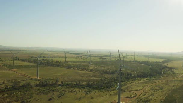 Video Záběry Větrných Turbín Otevřeném Poli — Stock video