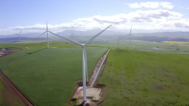 Video Footage Wind Turbines Out Open Field — Stockvideo