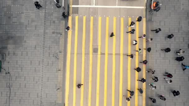 Video Footage Pedestrians Crossing Crosswalk City Street — Αρχείο Βίντεο