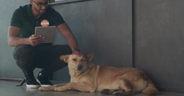 Hayvan Barınağında Köpek Beslerken Dijital Tablet Kullanan Yakışıklı Bir Adamın — Stok video
