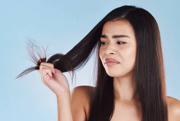 One young hispanic woman looking unhappy and worried about her unhealthy hair while posing against a blue studio background. Mixed race model holding strands of her dry, frizzy and brittle hair with