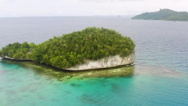 Video Footage Beautiful Island Doberai Resort Surrounded Clear Ocean Vacation — Αρχείο Βίντεο