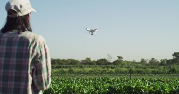 Video Footage Unrecognizable Female Farmer Watching Agricultural Aircraft While Holding — Stockvideo