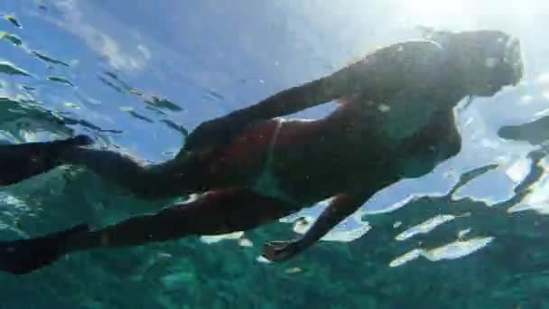 Video Footage Unrecognizable Woman Snorkelling Ocean Holiday Raja Ampat — Stockvideo