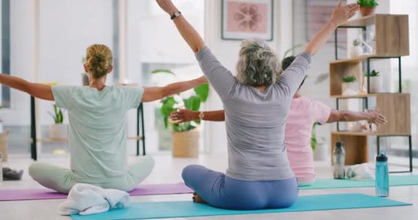 Mature Women Meditating Raised Prayer Hands Zen Yoga Class Diverse — Vídeos de Stock