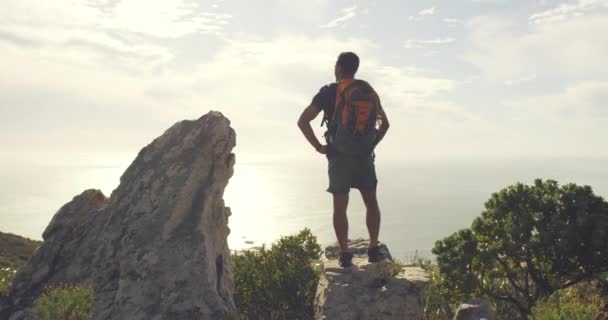 Achteraanzicht Van Fit Actieve Man Met Rugzak Tijdens Een Wandeling — Stockvideo