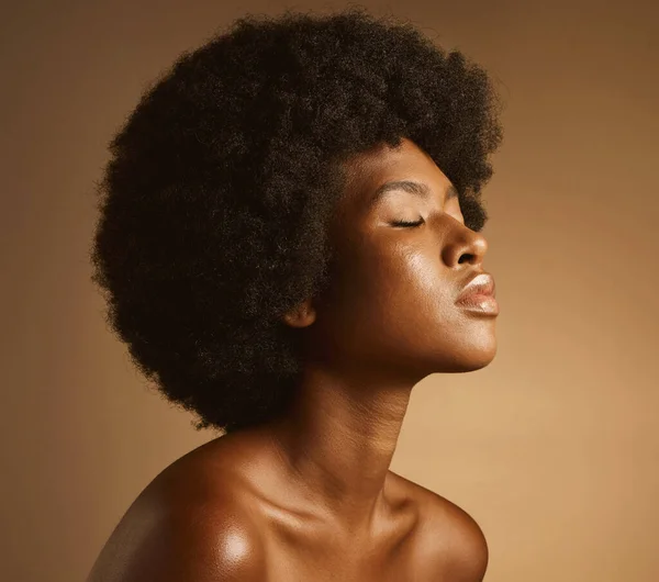 Confident African American Woman Natural Afro Posing Brown Studio Copyspace — Foto Stock