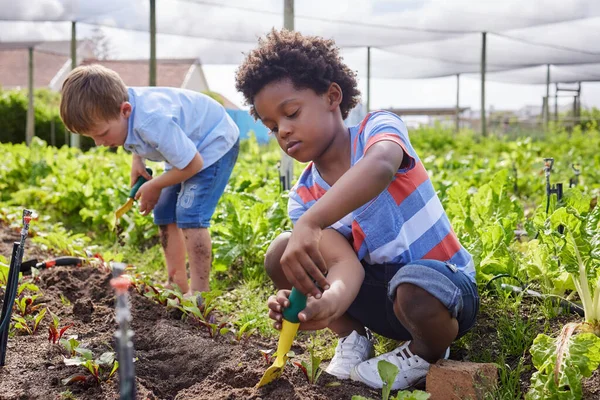 Full Length Shot Adorable Little Boy Working Farm His Friend — 图库照片