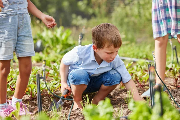 Full Length Shot Adorable Little Boy Working Farm His Friends — 图库照片