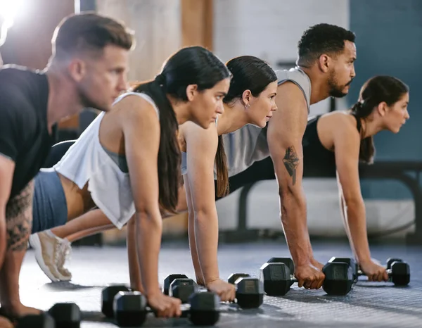 Diverse group of active young people doing plank hold and push up exercises with dumbbells while training together in a gym. Focused athletes doing press ups and renegade rows with weights to build