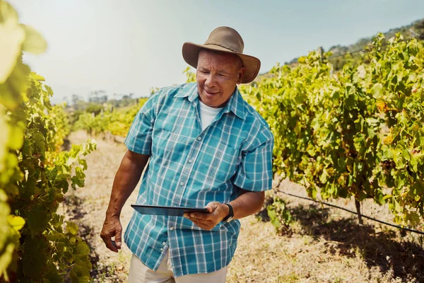 Smiling senior mixed race farmer using a digital tablet on his vineyard. Elderly hispanic man standing alone and using technology on a wine farm in summer. Happy farmer with his crops and agriculture.
