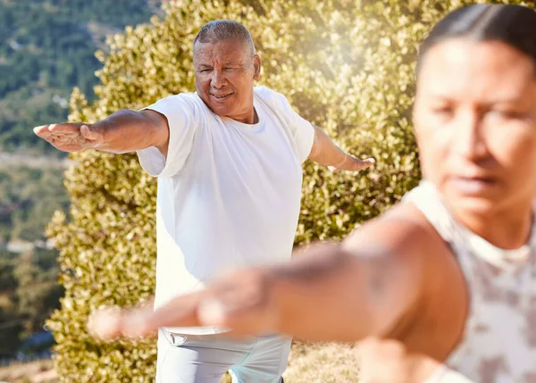 老年人过着健康的生活 在户外锻炼 在阳光灿烂的日子里 一对年长的夫妇在大自然中练习瑜伽时 站在战士的姿态上 — 图库照片