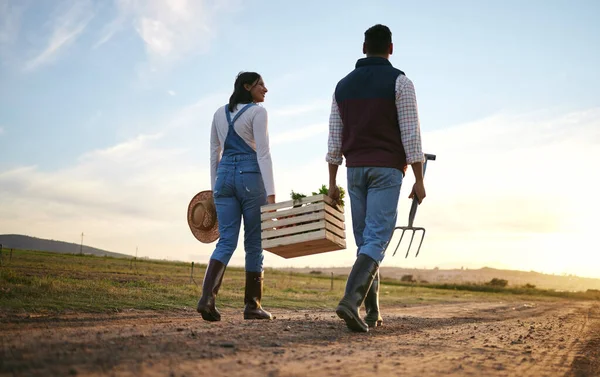 Two farmers carrying a vegetable basket together. Young man and woman walking with fresh organic produce on a dirt road.