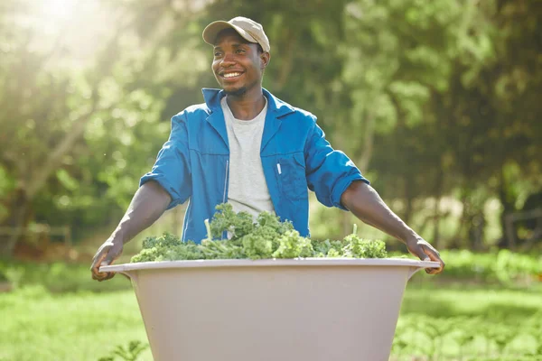 Een Knappe Jonge Mannelijke Landarbeider Die Gewassen Verzorgt — Stockfoto