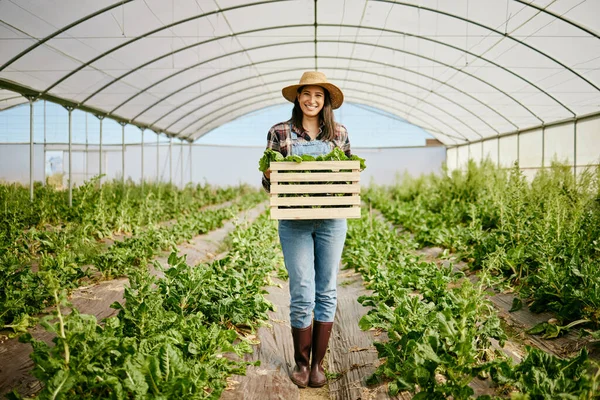 Young Farmer Holding Crate Freshly Harvested Produce — 图库照片