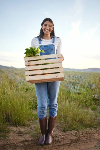 Portrait Woman Farmer Holding Wooden Box Fresh Vegetables Young Brunette — 图库照片