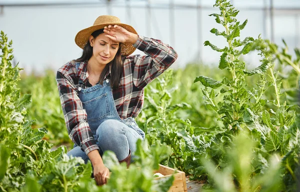 Повнометражний Знімок Привабливої Молодої Жінки Працює Своїй Фермі — стокове фото