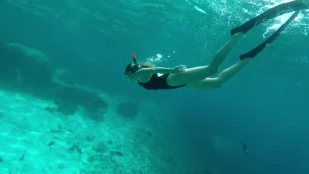 Endonezya Tatildeyken Tek Başına Şnorkelle Yüzen Tanınmayan Bir Kadının Video — Stok video