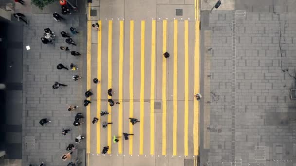 Video Footage Pedestrians Crossing Crosswalk City Street — Vídeos de Stock