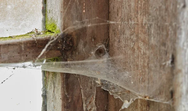 Spider Web Old Dirty Window Abandoned Home Zoom Wooden Frame — Fotografia de Stock