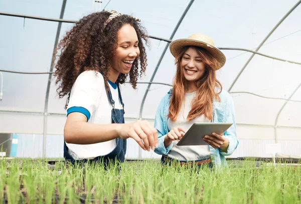 Two Attractive Young Women Using Tablet While Working Greenhouse Farm — Foto Stock