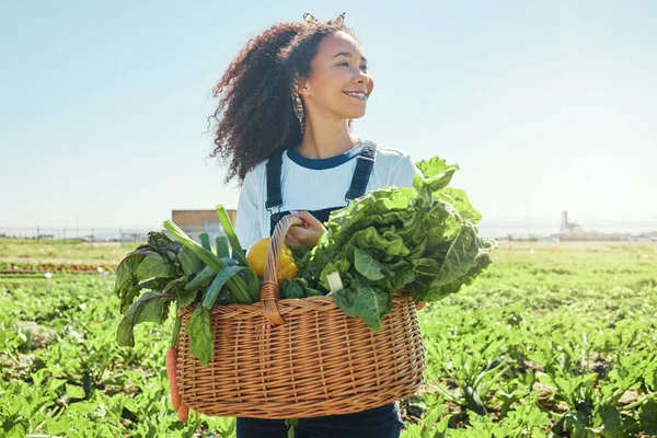 Young Farmer Holding Basket Freshly Harvested Veggies — Fotografia de Stock