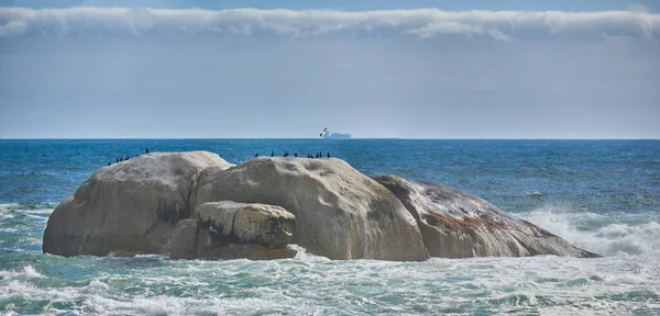 Seagulls Resting Big Rock Blue Water South Africa Copy Space — Foto de Stock