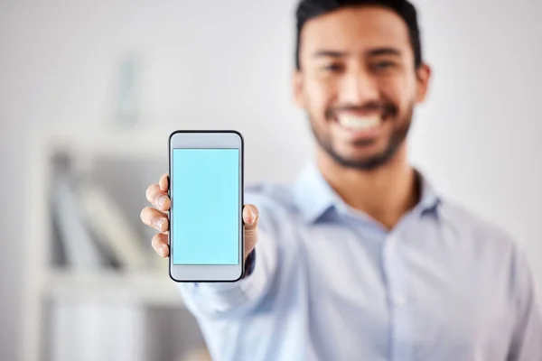 Businessman showing a blank blue screen with copyspace on his cellphone in the office. Mixed race professional holding his phone to display a new webpage and website. Corporate man using technology.