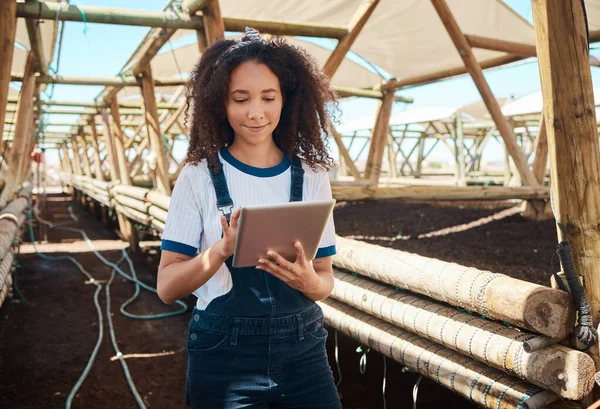 Young Woman Using Digital Tablet While Working Farm — Fotografia de Stock