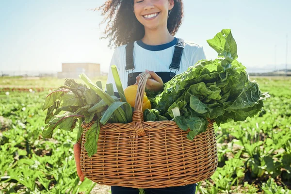 Farmer Holding Basket Freshly Harvested Veggies — 스톡 사진