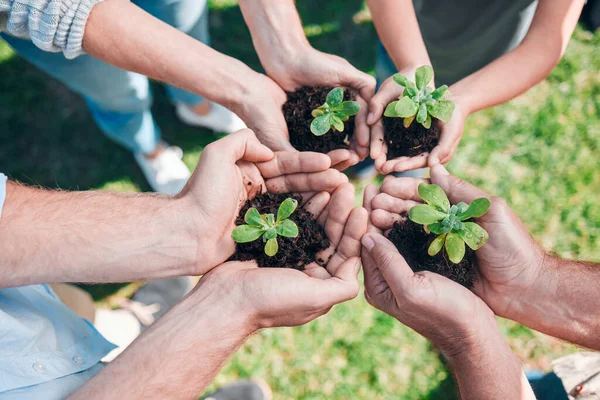 Angelic Energy Group Unrecognizable People Holding Plants Growing Out Soil — 스톡 사진