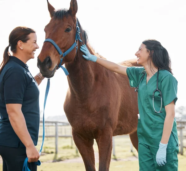 Arent You Beautiful Attractive Young Veterinarian Standing Horse Its Owner — ストック写真
