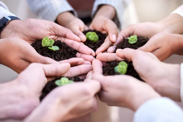 Great Things Can Come Tiniest Things Group Unrecognizable Businesspeople Holding — Fotografia de Stock