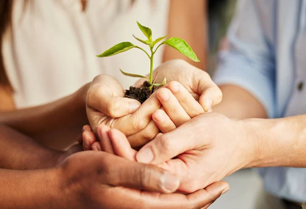 Our Goals Can Only Reached Plan Group People Holding Plant — Stock Photo, Image