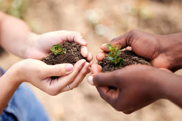 Ill Planted Right Here Two Unrecognisable People Holding Plant Growing —  Fotos de Stock