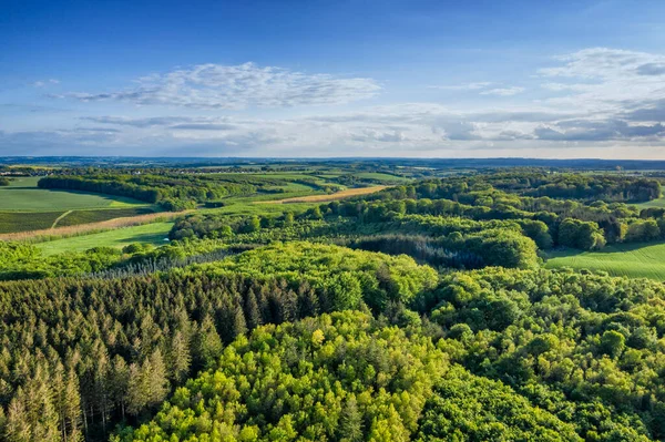 Aerial view of pine forests in Denmark on a cloudy day in summer. Landscape of cultivated green woods for wooden timber and lumber near lush farm land against a blue horizon for copy space background.