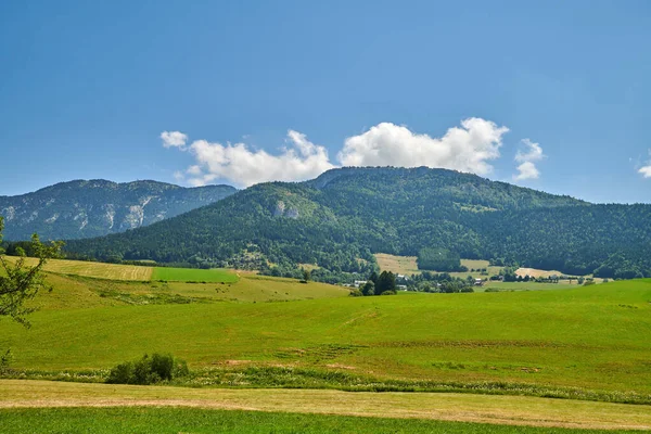 Farmland Lush Meadow Hills Mountains Covered Greenery Countryside Scenery Calm — Stockfoto