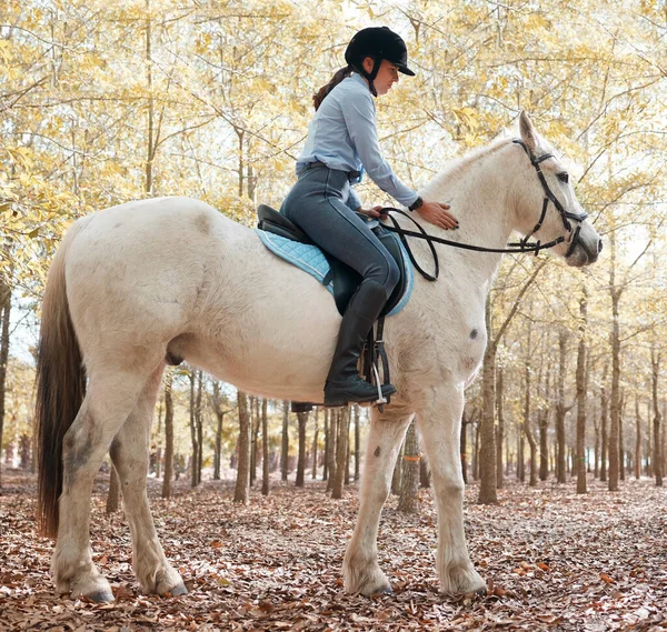 Man Horse Spiritually Flying Attractive Young Woman Riding Her Horse — Photo