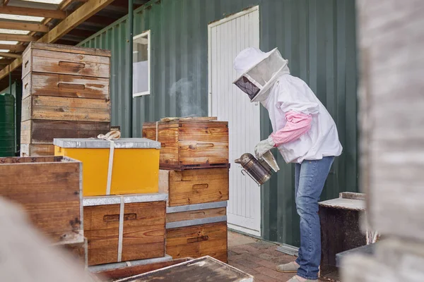 a beekeeper using a bee smoker while working on a farm.