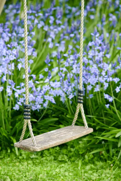 Old wooden swing in a garden with blue flowers and grass in a lush backyard. Peaceful scene of a forgotten child playground with vibrant wild bluebells and overgrown lawn in spring with copy space.