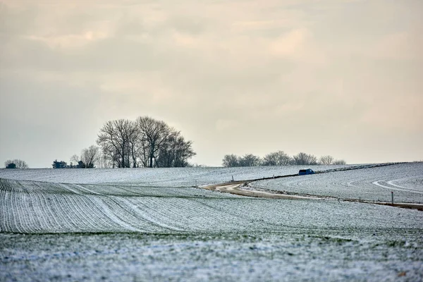 Landscape View Empty Secluded Field Covered Snow Winter Denmark Beautiful — ストック写真