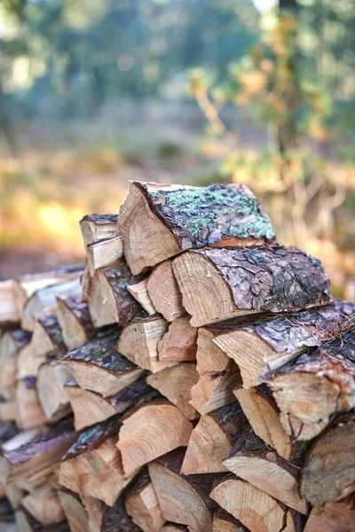 Preparation Firewood Winter Stacks Firewood Forest Firewood Background Sawed Chopped — ストック写真