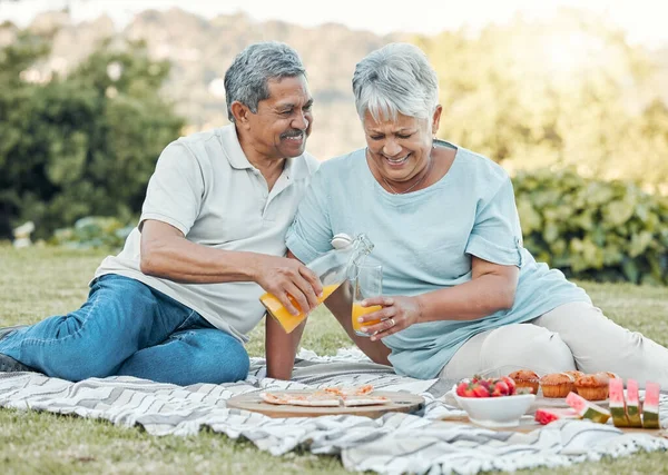 Everyone needs a house to live in. a senior couple enjoying a picnic outside