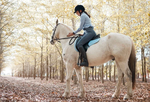 Good Trainer Can Hear Horse Speak Him Attractive Young Woman — Photo