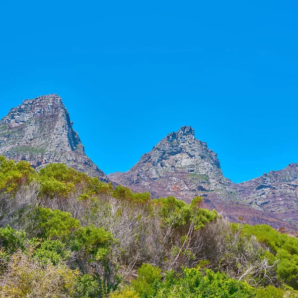 Знамениті Гірські Пішоходи Копіювальним Простором Зеленими Деревами Лісами Кейптауні Південна — стокове фото